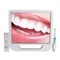 Hochauflösender digitaler LCD-AIO-Monitor + dentale intraorale Kamera