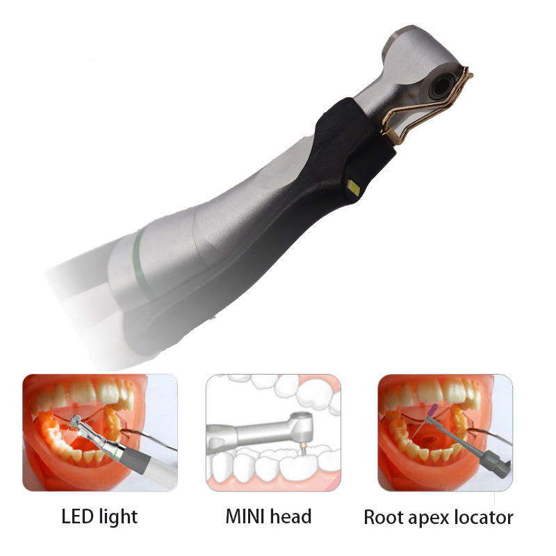 Macchina endodontica dentale del canale radicolare del motore endo del LED