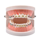 200sticks Dental Orthodontics Ligature Ties Elastic Rubber Bands Adult Mixing Color Dentist Materials