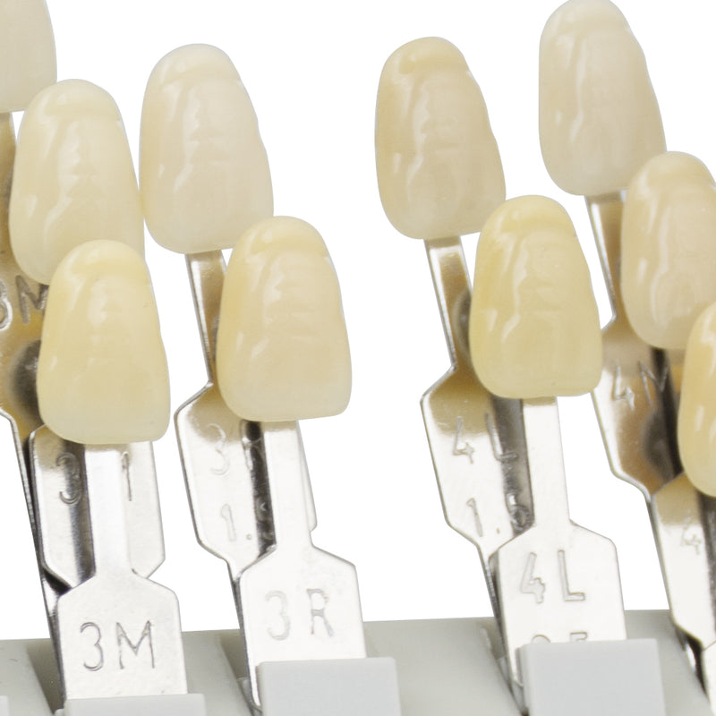 Denti in porcellana durevoli Materiali dentali VITA 29 Colors Shade Guide Denti