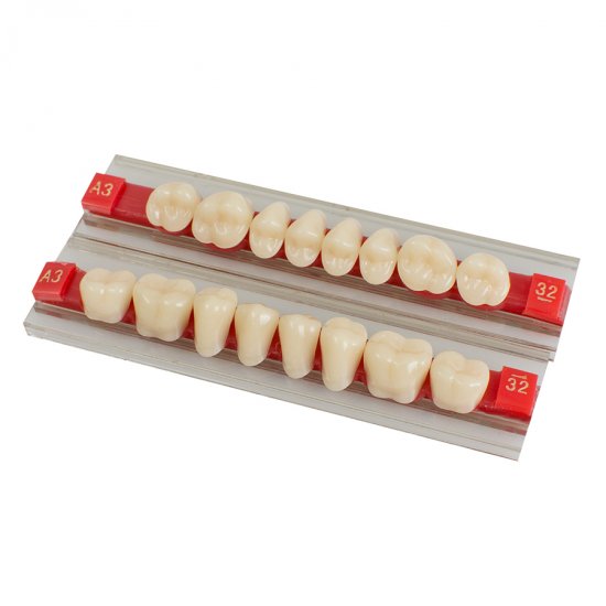 Sombra de dientes de dentadura de resina acrílica dental