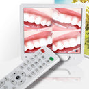 Hochauflösender digitaler LCD-AIO-Monitor + dentale intraorale Kamera