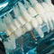 Modelo de dientes patológicos adultos transparentes de diente de estudio dental