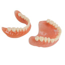 Dental Teach Study Volwassen Standaard Demonstratie Model Tanden