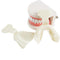 17 unids/set bandejas de impresión de mandíbula edéntula Dental reparación de dientes de dentadura completa/completa