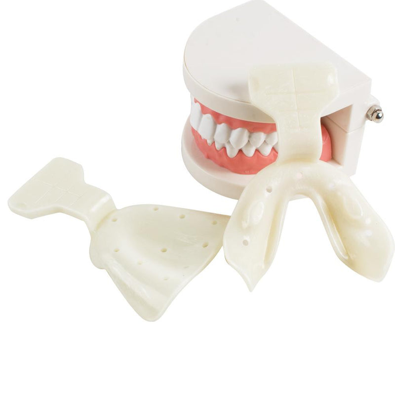 17 unids/set bandejas de impresión de mandíbula edéntula Dental reparación de dientes de dentadura completa/completa