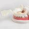 17 pz/set Dental Edentulo Mascella Vassoi Per Impronte Completa/Completa Denti di Protesi Riparazione