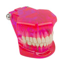 Modello di denti dentali Insegna allo studio Restauro e patologia dell'impianto orale