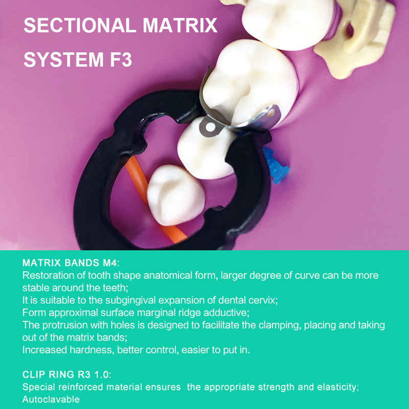 1box Dental Sectional Matrix System Metal Matrix Bands Dentist Tools
