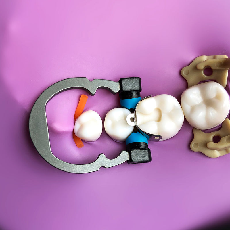 Dental Matrix Ring Clamp Ring Medium/Small Size For Molar/High-crown,Premolar/Low-crown