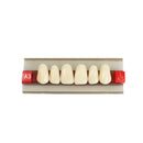 Zahnersatz aus Acrylharz, Zahnfarbe G419 A2 A3