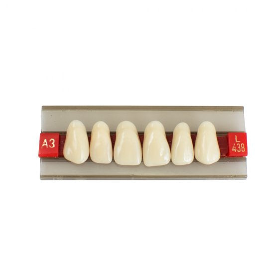 Ombra per denti dentali per protesi in resina acrilica G438 A2 A3