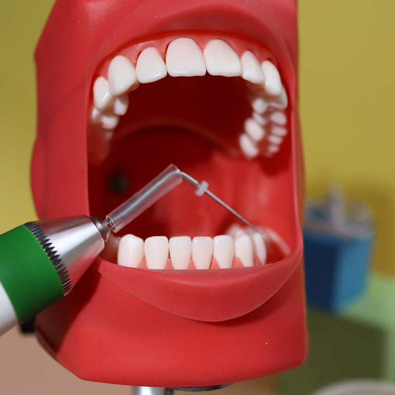 Dentist Endodontics Irrigator  Gutta Percha Point Obturation Pen