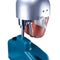 Dental Simulator Manikin Phantom Head Model With Bench Mount