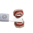Dental automatic defogging mirror Oral photography Orthodontic reflector