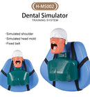 Dental Simulator Manikin Phantom Head Model With Bench Mount